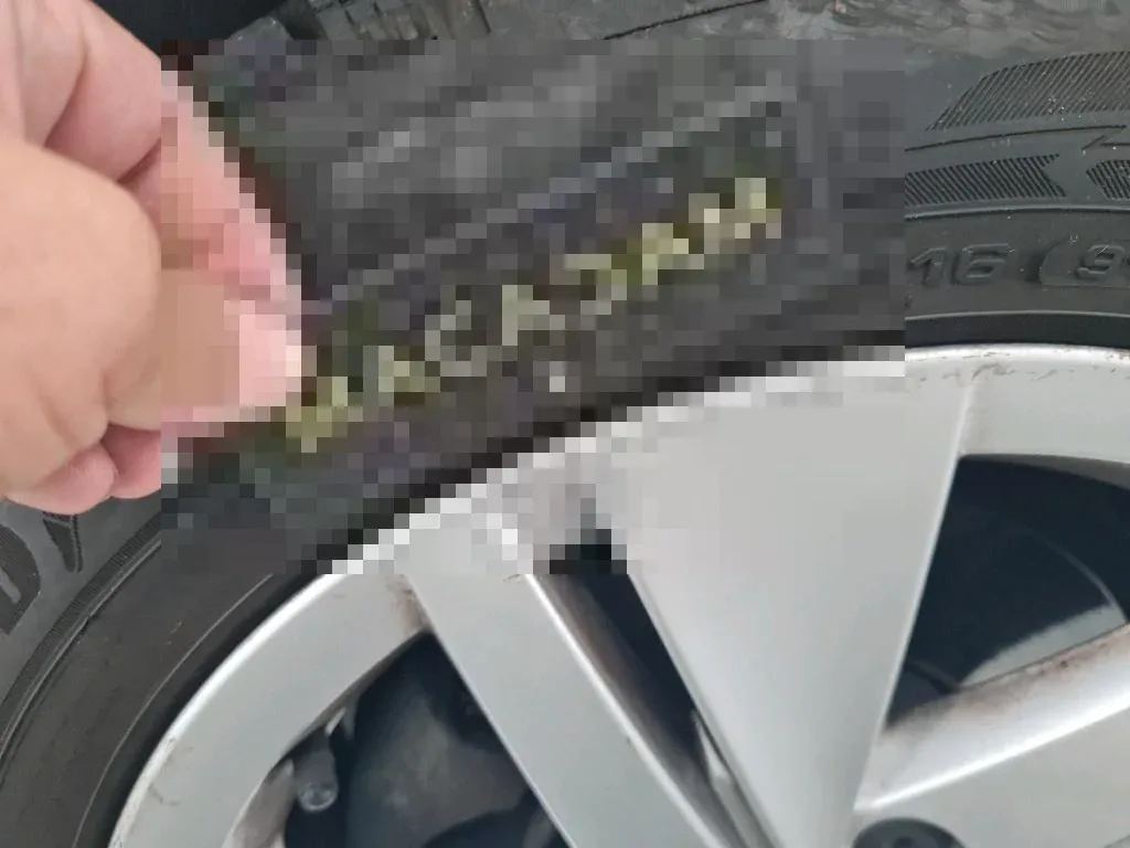 Reported damage