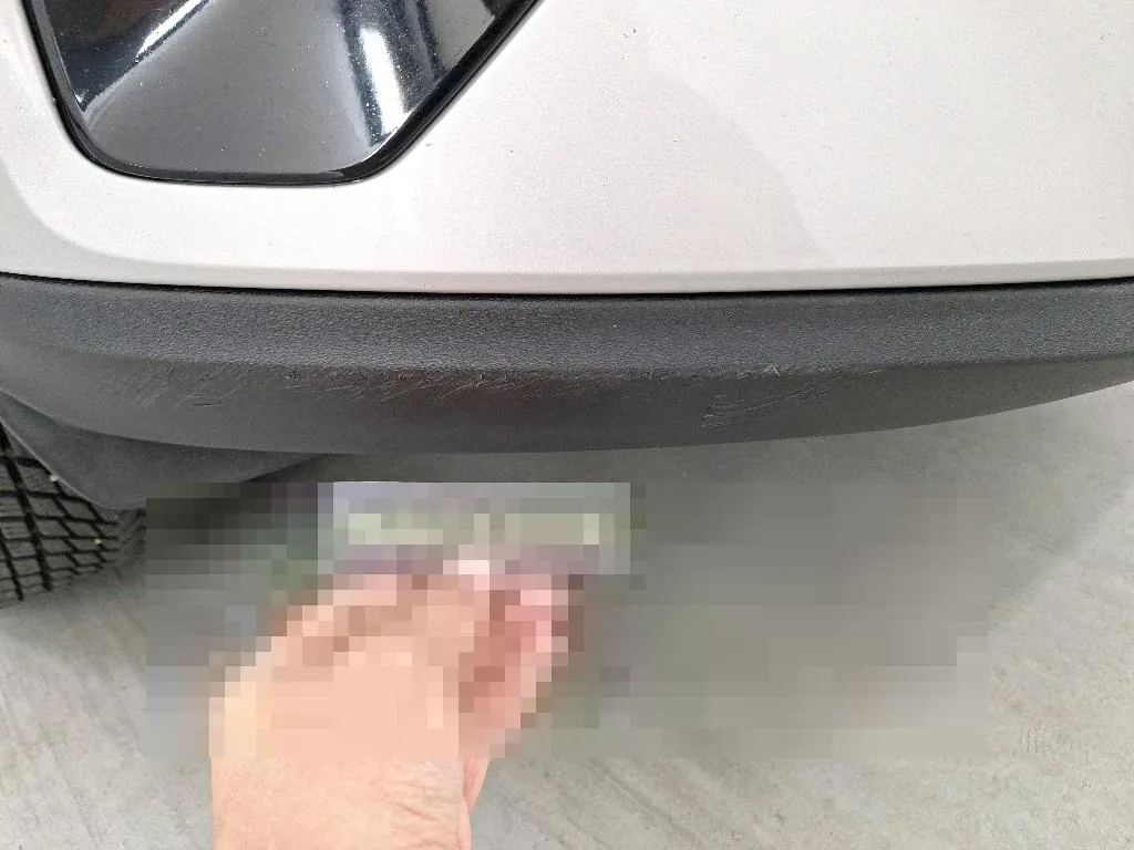 Vastgestelde schade