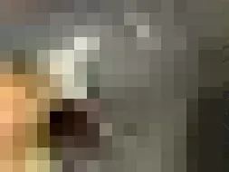 Reported damage
