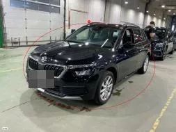 Reported damage