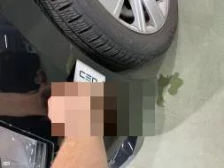 Reported damage