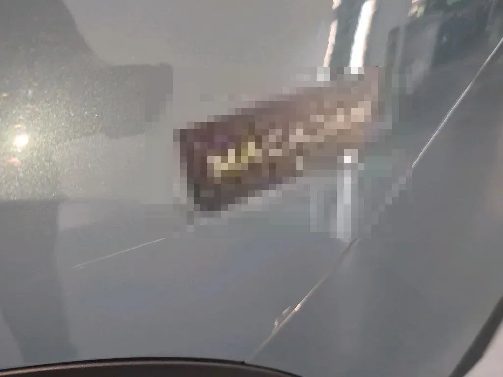 Reported damage