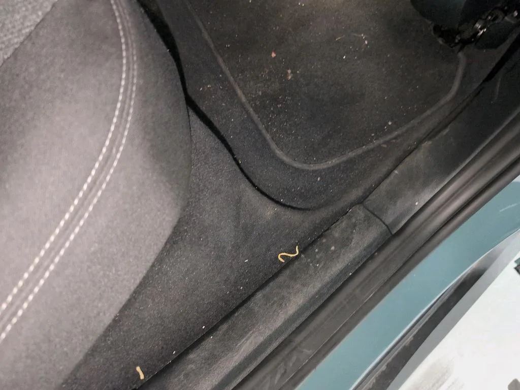 Reported damage