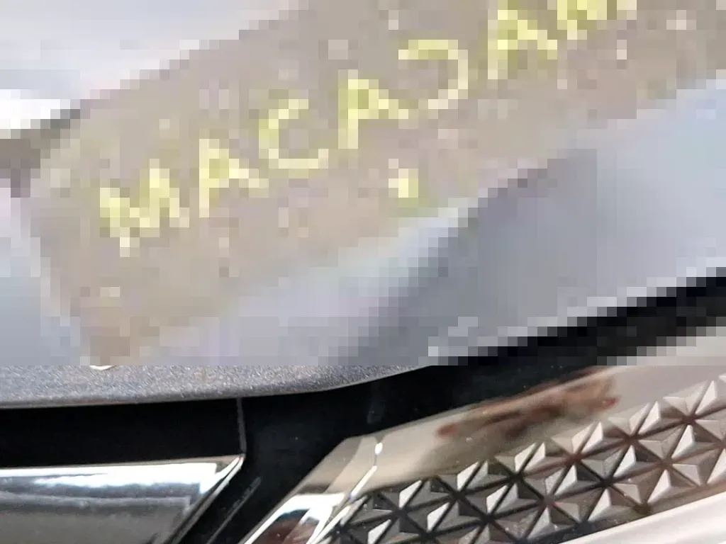 Reported damage