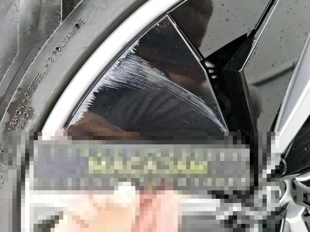 Vastgestelde schade