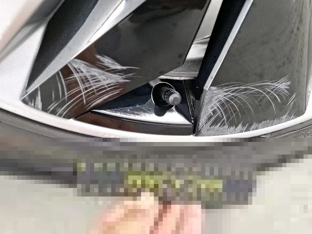 Vastgestelde schade