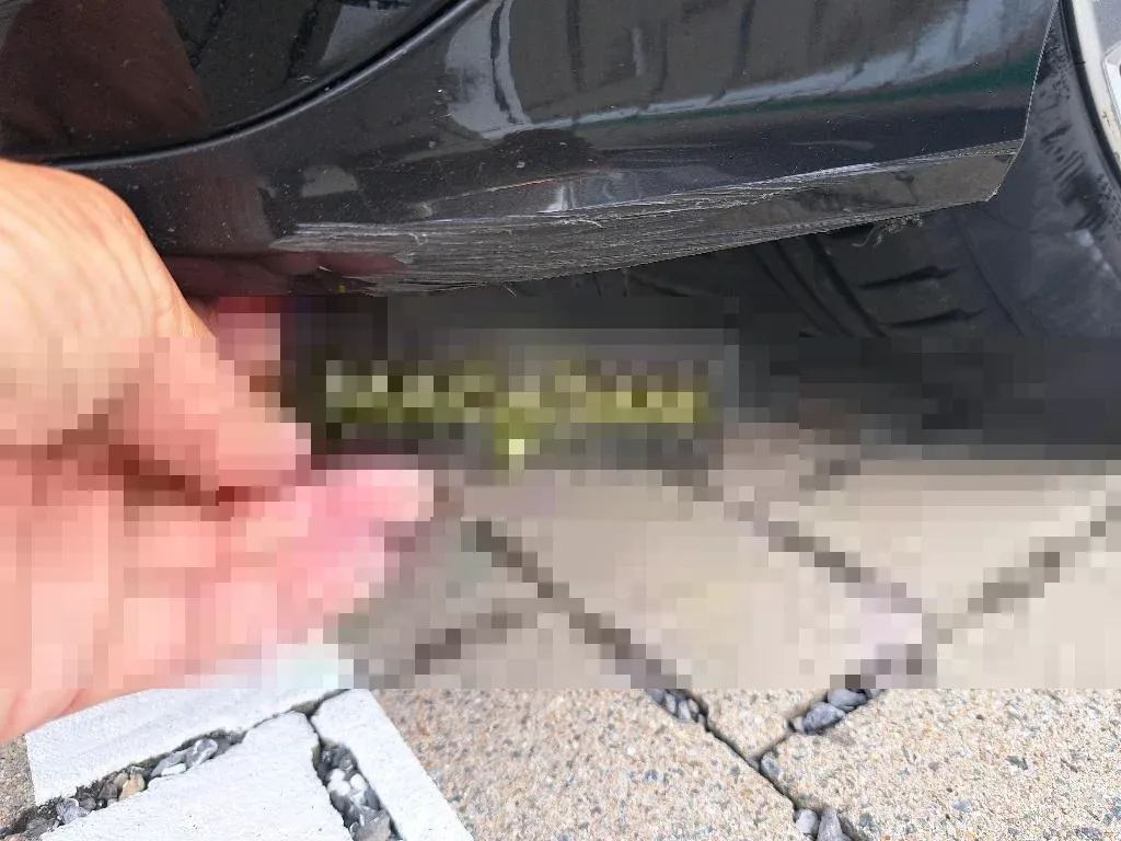 Reported damage