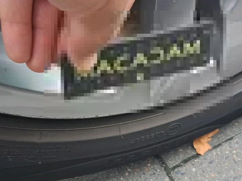 Vastgestelde schade