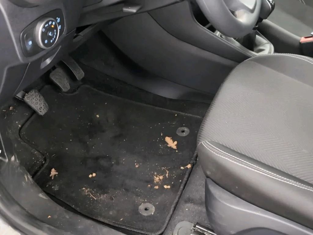 Reported damage