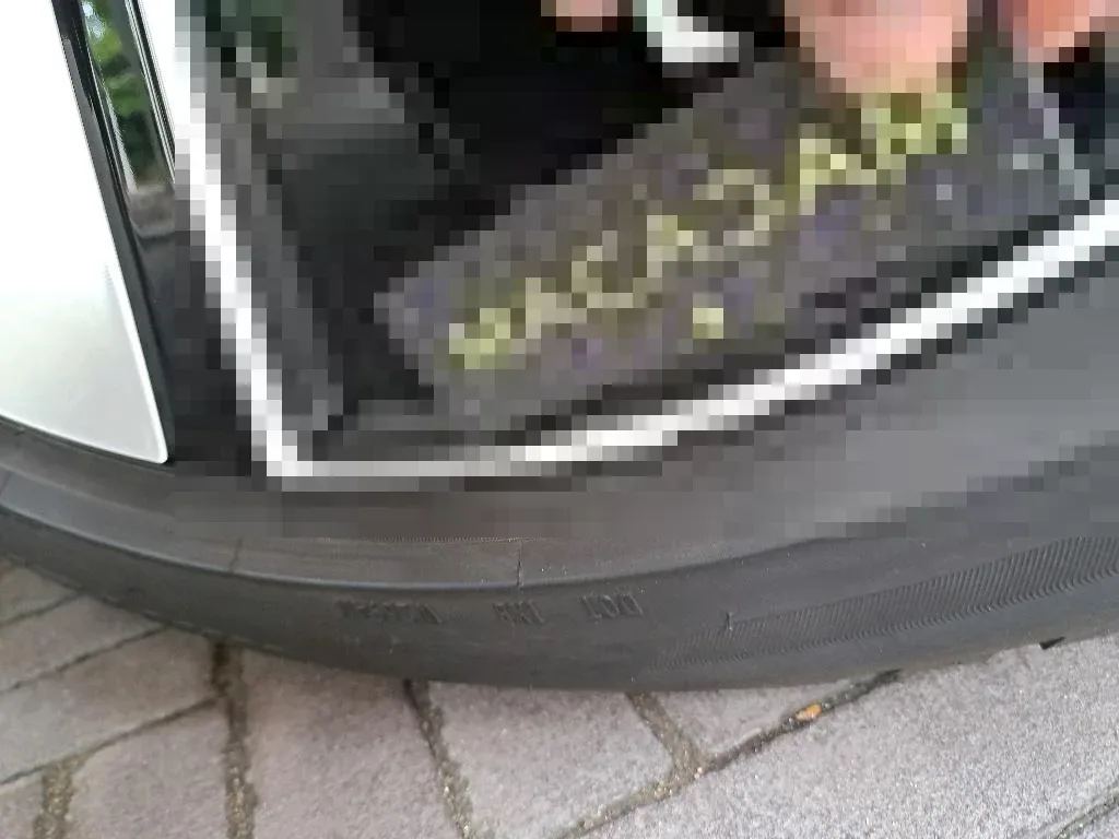 Vastgestelde schade