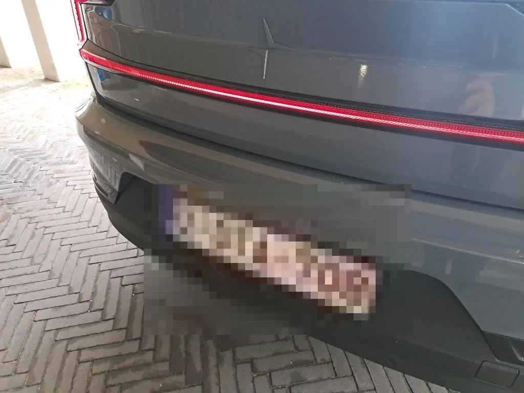Vastgestelde schade