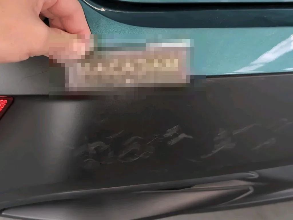 Vastgestelde schade