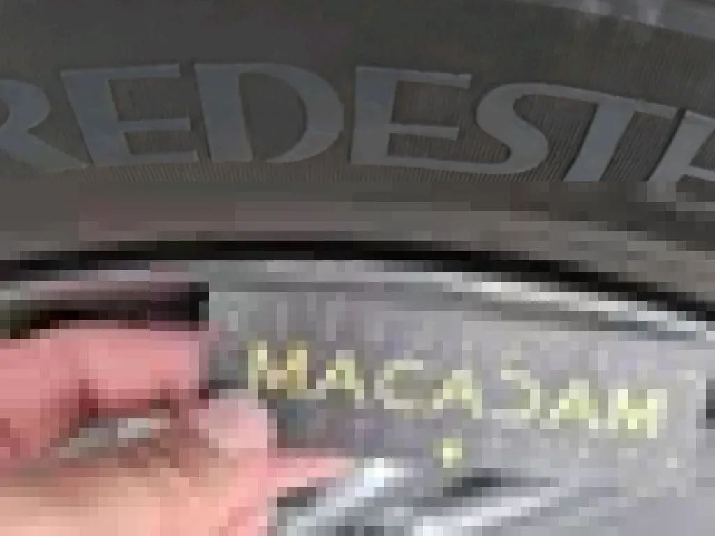 Vastgestelde schade