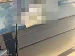 Reported damage