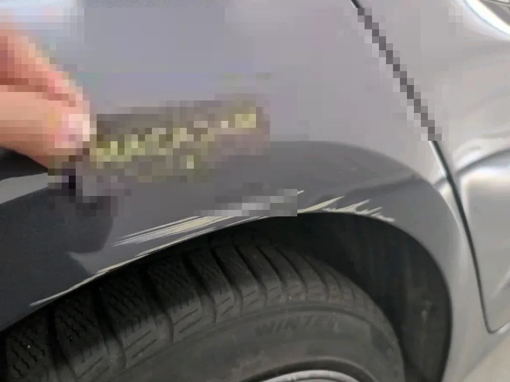 Vastgestelde schade