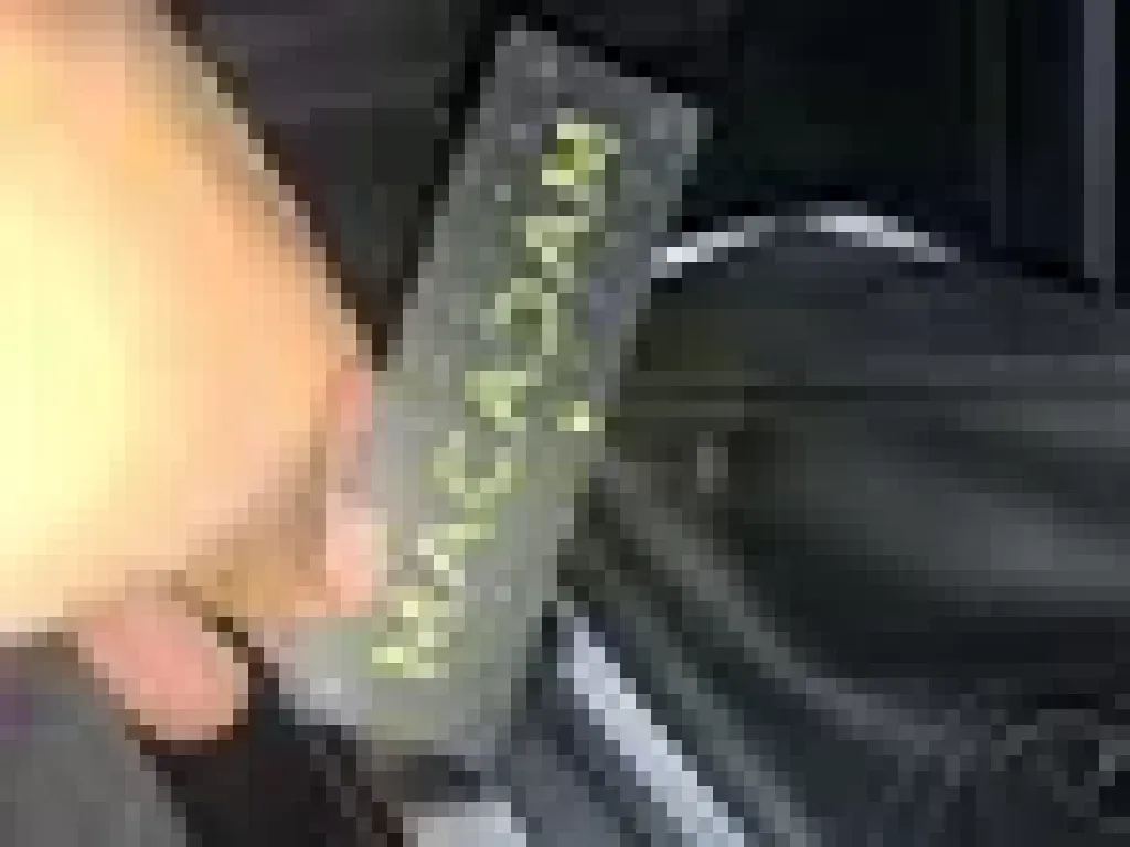 Reported damage