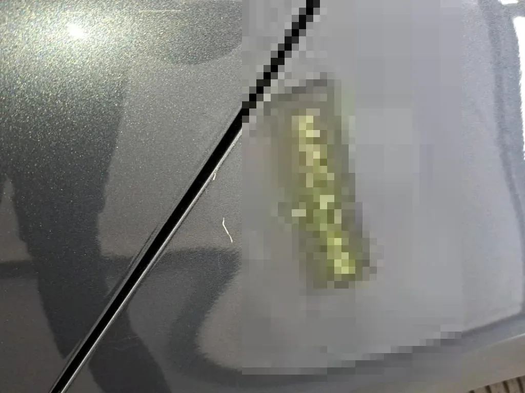 Reported damage