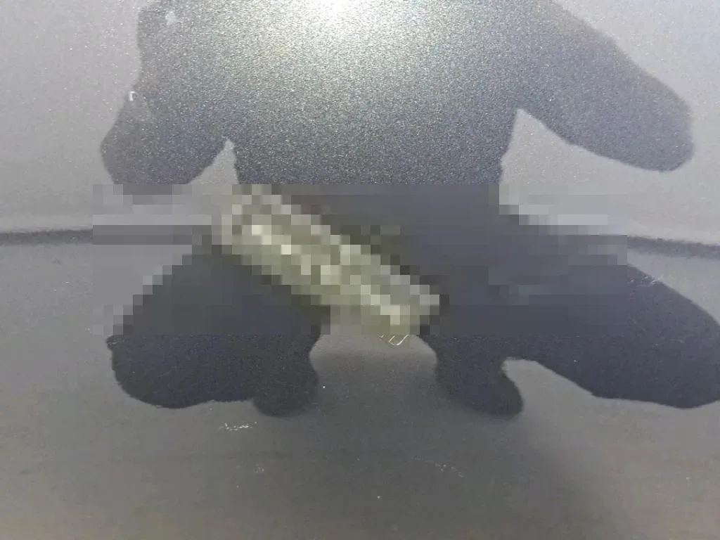 Reported damage