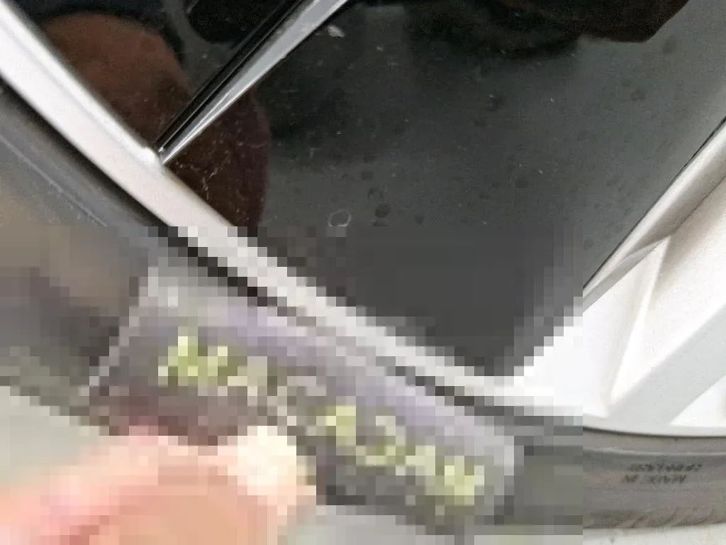 Vastgestelde schade