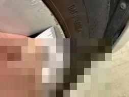 Reported damage