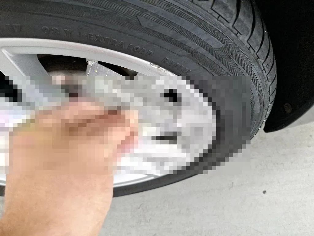 Dommages constatés