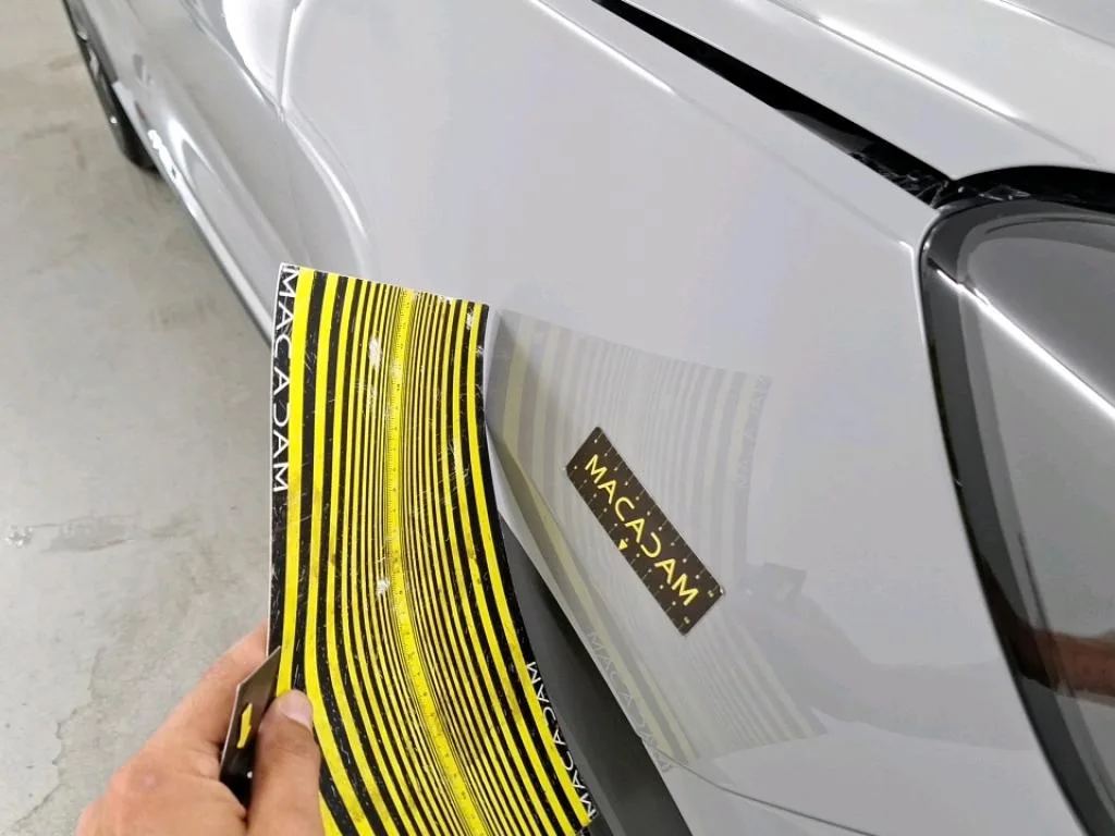 Vastgestelde schade