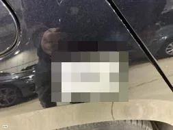 Reported damage