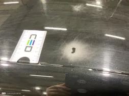 Reported damage