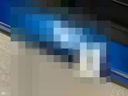 Reported damage