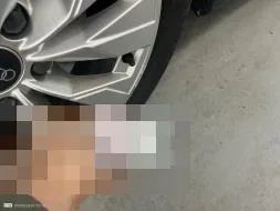 Vastgestelde schade