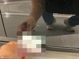 Reported damage