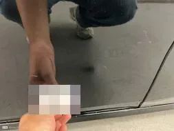 Reported damage