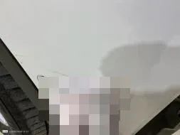 Vastgestelde schade