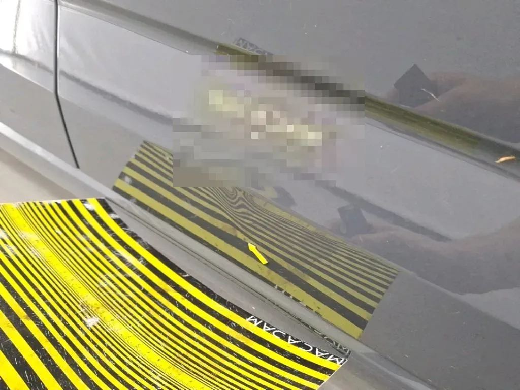 Vastgestelde schade