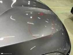 Reported damage