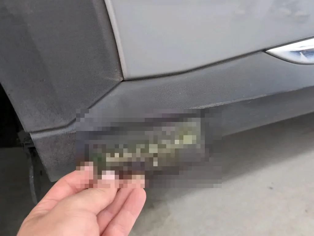 Reported damage