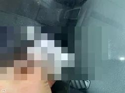 Vastgestelde schade
