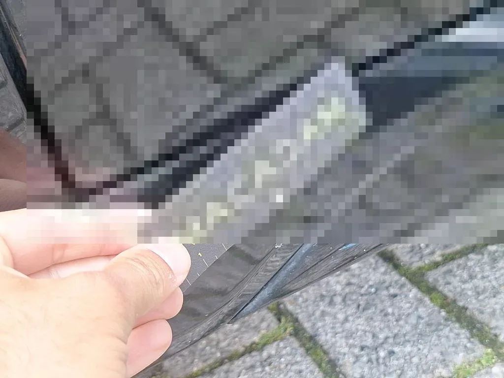 Vastgestelde schade