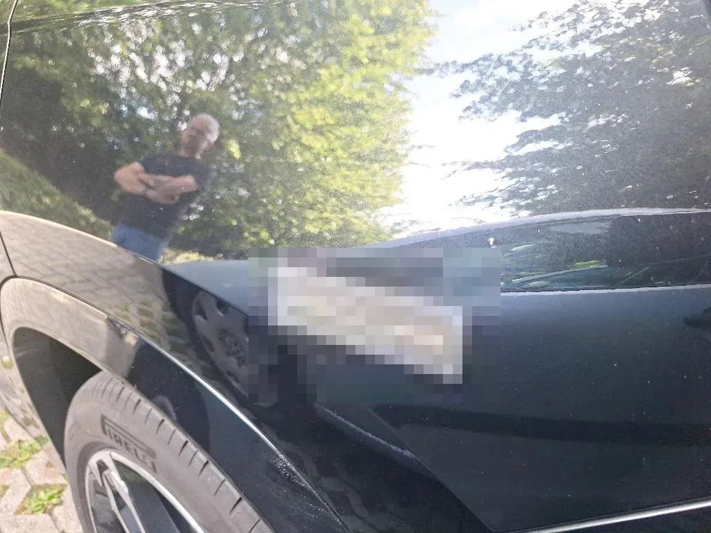 Vastgestelde schade
