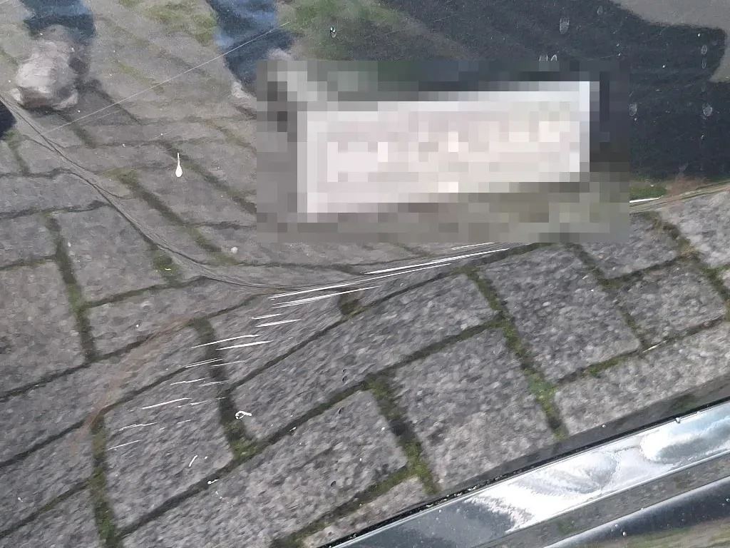 Vastgestelde schade