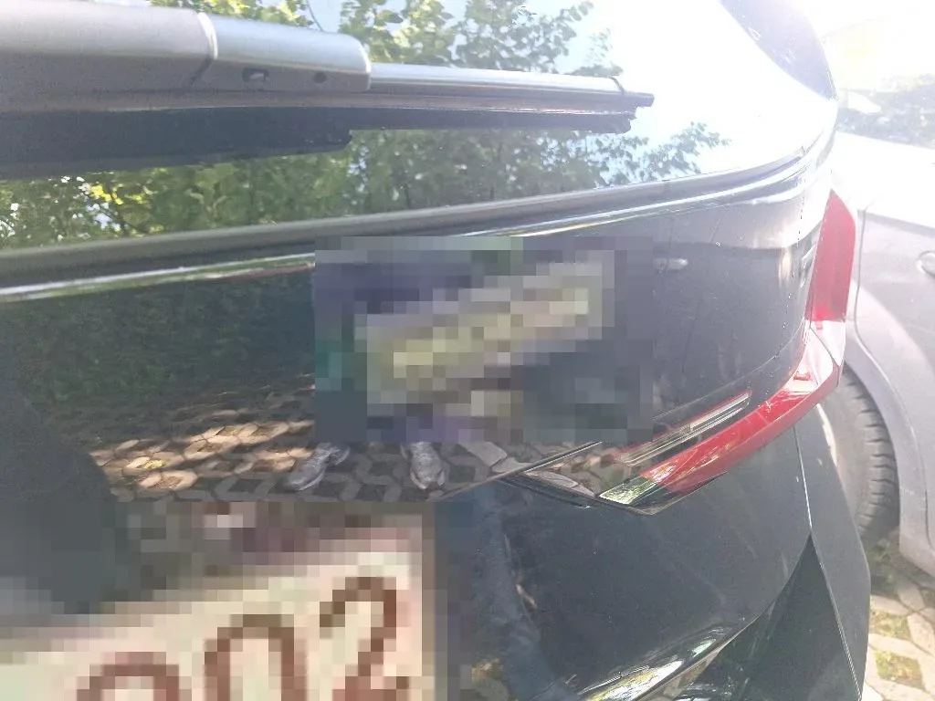 Vastgestelde schade