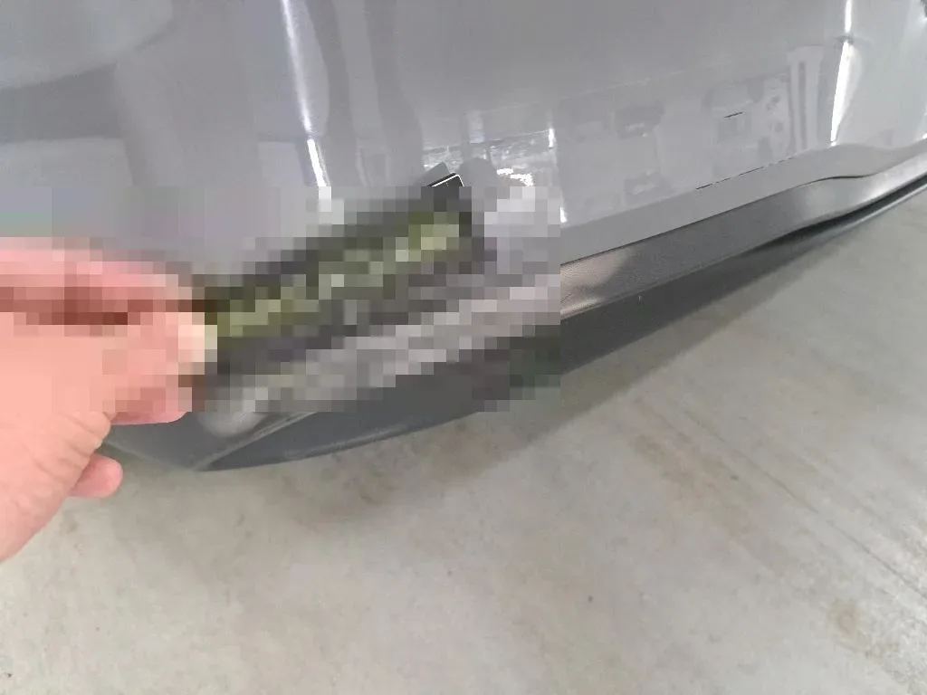 Reported damage