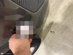 Reported damage