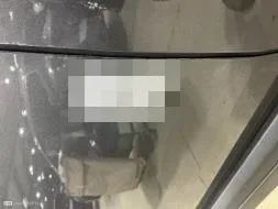 Reported damage