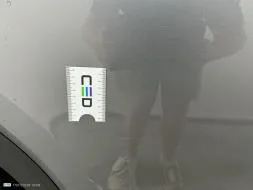 Reported damage