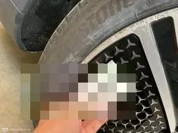 Reported damage