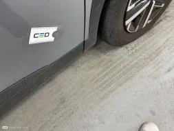 Vastgestelde schade