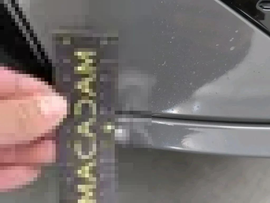 Dommages constatés