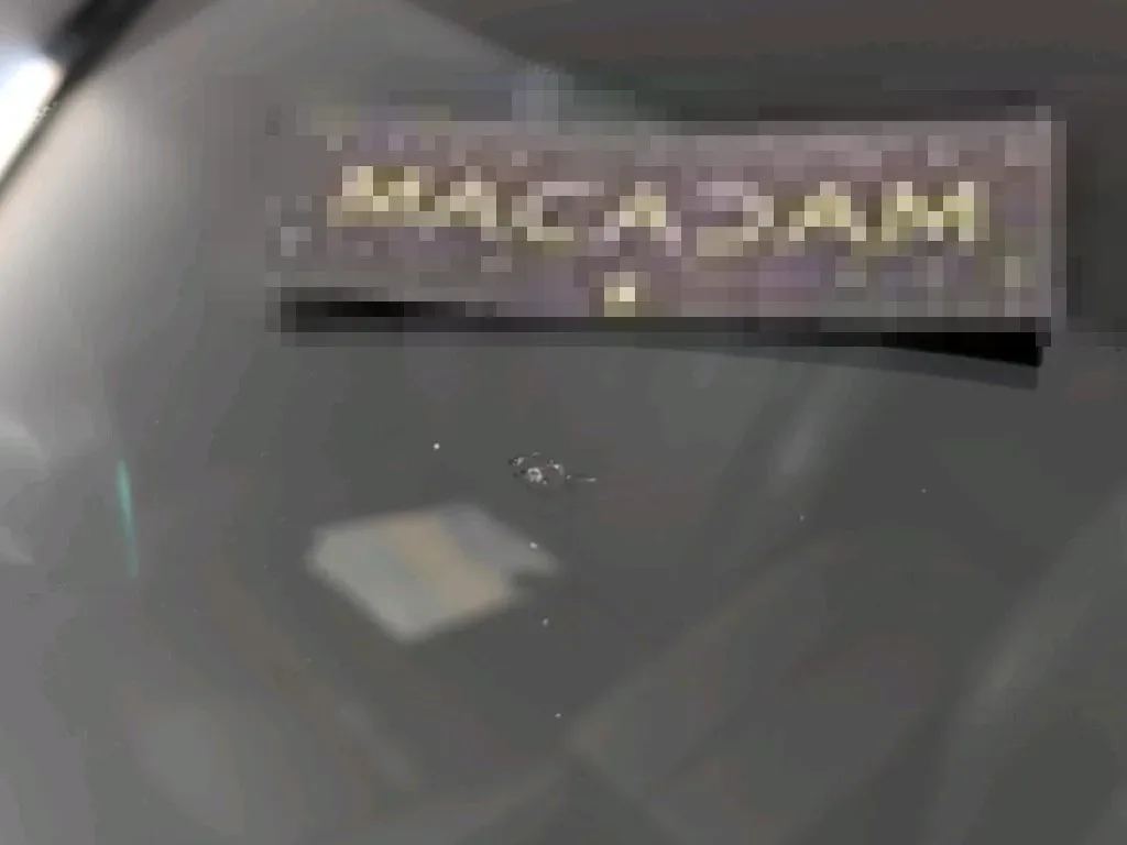 Dommages constatés