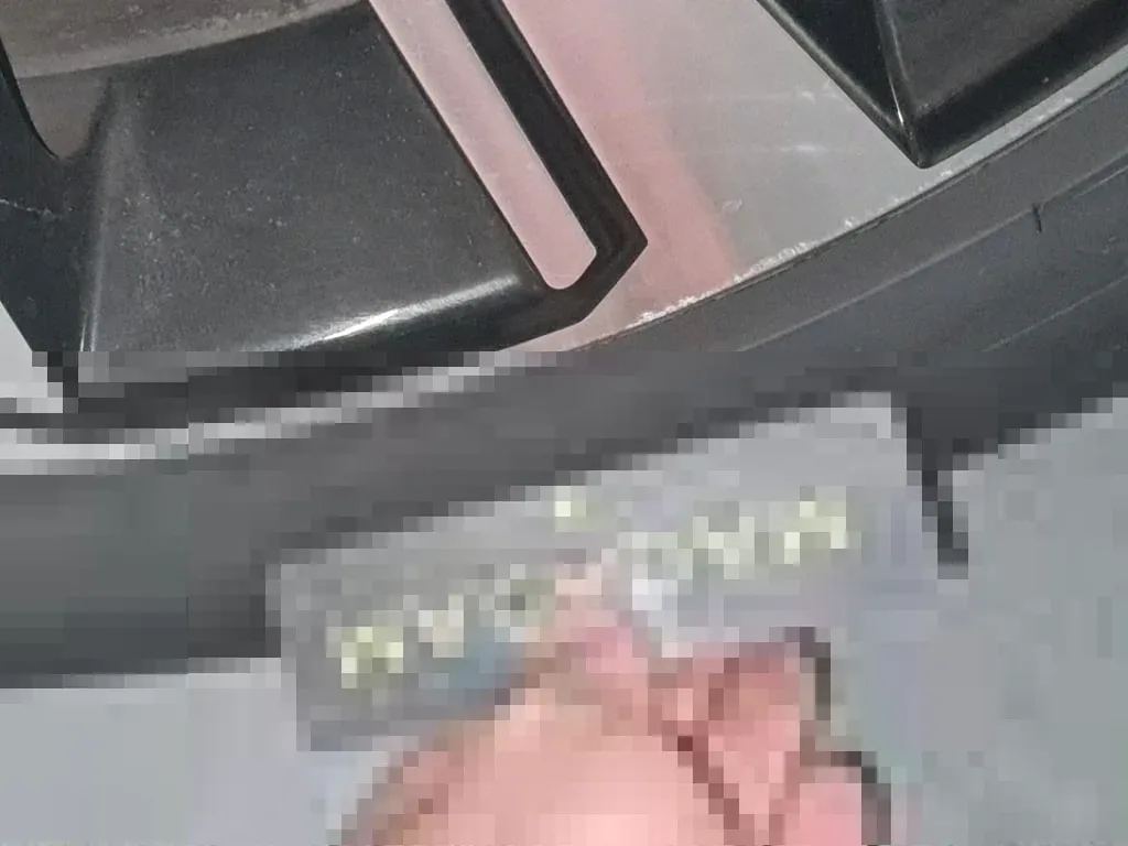 Dommages constatés